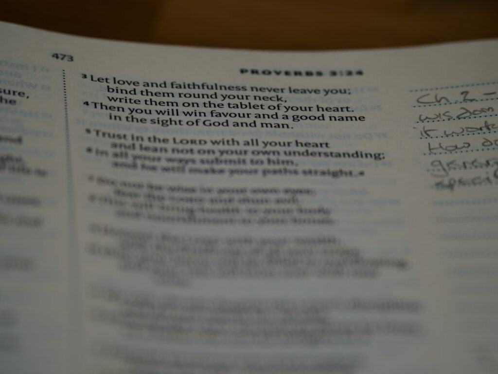 a page of a book