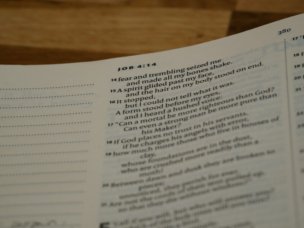 text, letter